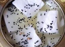 جبنه غنم مغلية جبنه غنم مغلية