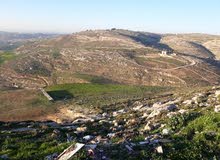 أرض للبيع لقطة مساحة 1662 م ناعور حسبان قرب شارع الرئيسي... أرض للبيع لقطة مساحة 1662 م ناعور حسبان قرب شارع الرئيسي...