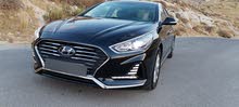Hyundai Sonata Sport in Amman
