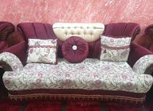 قنفات جديده للبيع 2 كبار و 4 صغار وبرده للبيع قنفات جديده للبيع 2 كبار و 4 صغار وبرده للبيع