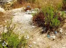 ارض للبيع في منطقه بيرزيت صالحه للبيناء واصل كل الخدمات  المساحه دونم