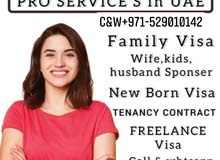 family visa 2year 3year visa services