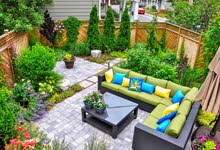 planting , home office garden decoration , landscaping