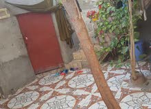 بيت تجاوز للبيع جبيله شارع الجنسيه قرب تايم السكوير مراسله واتساب فقط بيت تجاوز للبيع جبيله شارع الجنسيه قرب تايم السكوير مراسله واتساب فقط