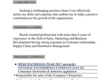 seeking job as a sales executive seeking job as a sales executive