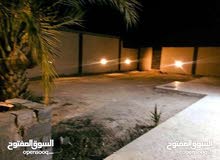 استراحة للإيجار اليومي استراحة للإيجار اليومي