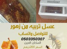 عسل تربيه اصلي عسل تربيه اصلي