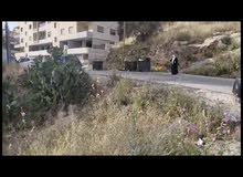 Residential Land for Sale in Nablus Northern Mount