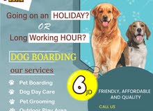 Dog boarding... The pet zone
