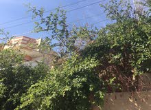 يوجد بيت طابقين يتكون من ستة غرف للايجار كروضة او كمعهد او كمخزن او مجمع طبي يوجد بيت طابقين يتكون من ستة غرف للايجار كروضة او كمعهد او كمخزن او مجمع طبي