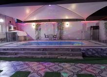 استراحة للايجار اليومي 550 استراحة للايجار اليومي 550