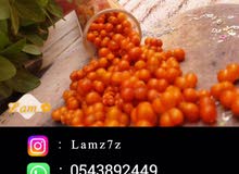 قضيم طازج لفقر الدم قضيم طازج لفقر الدم