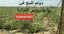 للبيع اراضي في خانيونس القرارة زراعيه وتربه خصبه واسعار مناسبه للبيع اراضي في خانيونس القرارة زراعيه وتربه خصبه واسعار مناسبه