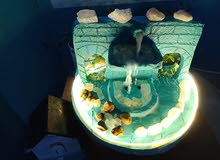 نوافير نوافير