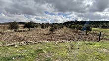 Mixed Use Land for Sale in Ajloun Other