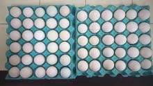 Cheshire Free Range Duck Eggs Cheshire Free Range Duck Eggs