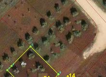 Residential Land for Sale in Irbid Sal