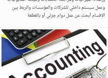 مدقق مصري مدقق مصري