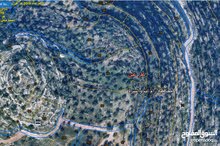 Mixed Use Land for Sale in Ramallah and Al-Bireh Kafr Ein
