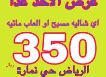 عرض شاليه اليوم الاحد عرض شاليه اليوم الاحد