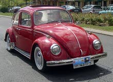 مطلوب خط مطلوب خط