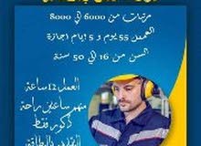 رجااال مصاانع للتعبئة والتغليف رجااال مصاانع للتعبئة والتغليف