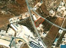 Mixed Use Land for Sale in Hebron AlSumue