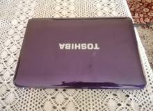 laptop toshiba purple laptop toshiba purple