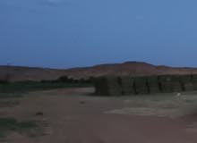 بال خرطان قضب صفصفه بال خرطان قضب صفصفه