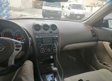 نسيان التيما للبيع 2011 نسيان التيما للبيع 2011