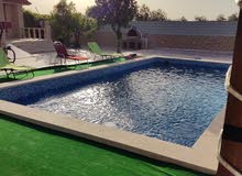 مزرعة الطيار للايجار اليومي مزرعة الطيار للايجار اليومي