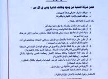 مطلوب موظف للعمل بالإدارة التجارية بالشركة مطلوب موظف للعمل بالإدارة التجارية بالشركة
