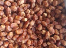 التمور الزهدي التمور الزهدي