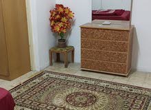 Furnished Daily in Amman Swelieh