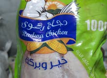 دجاج كامل دجاج كامل