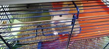 Hamster Cage Accessories Hamster Cage Accessories