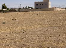 اراضي للبيع قطعة ارض للبيع قوشان اراضي استثمارية طريق المطار عمان