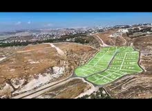 Residential Land for Sale in Amman Naour