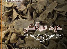 العود السيلاني ( السريلانكي) العود السيلاني ( السريلانكي)