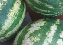 Fresh watermelon for sale Fresh watermelon for sale