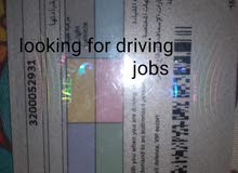 I looking for job darving