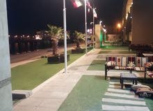 تأجير شاليهات تأجير شاليهات