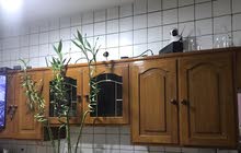كاونتر صاج كاونتر صاج