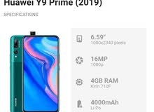 y9 prime 64 y9 prime 64