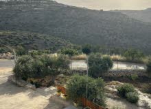 Mixed Use Land for Sale in Tulkarm Bal'a