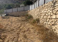ارض للبيع في دويربان واد زرزير