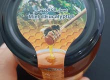 Eucalyptus honey - عسل الكالبتوس