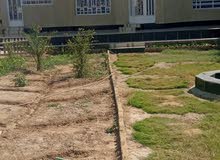 بيت للبيع كبير 800متر طابو سهم اقرأ الوصف جوه بيت للبيع كبير 800متر طابو سهم اقرأ الوصف جوه