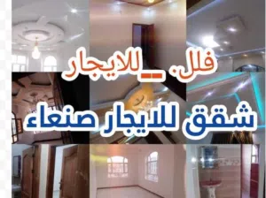 Monthly . 80 m20