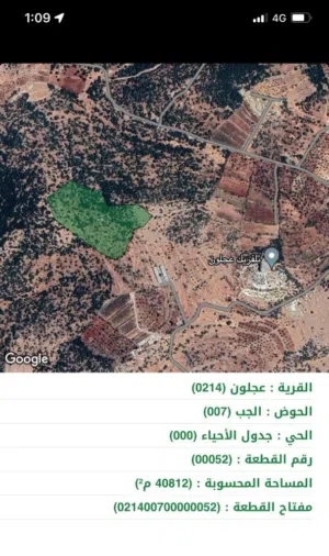 Farm Land for Sale in Ajloun Alqala'a